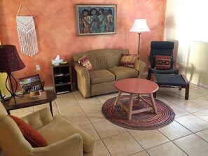 TV, DVD player, books, video library