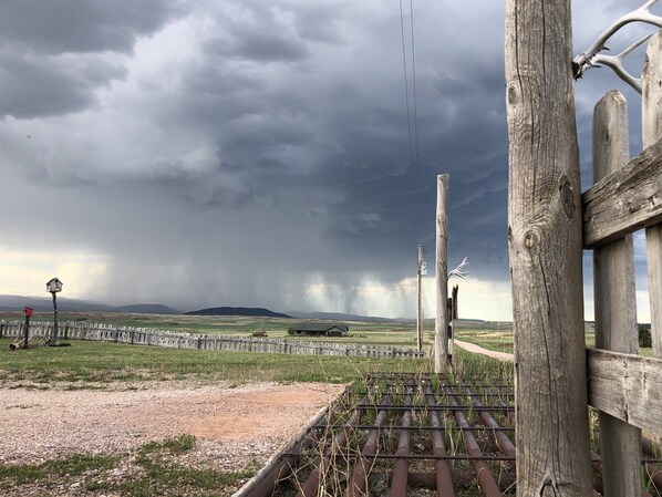 Property grounds - Rustic log cabin in the beautiful Wyoming Black Hills! (Sundance)