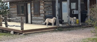Rustic log cabin in the beautiful Wyoming Black Hills!