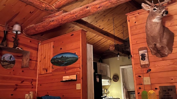 A rustic cabin interior with wooden walls, a dining area, a kitchen, and a mounted deer head.