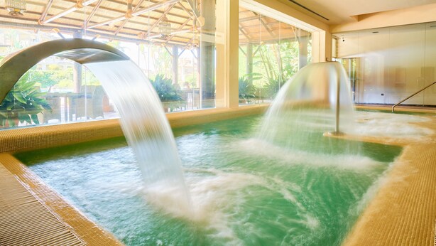 Ein Whirlpool mit zwei Düsen, umgeben von einer Glaskonstruktion mit Blick auf eine grüne Landschaft.