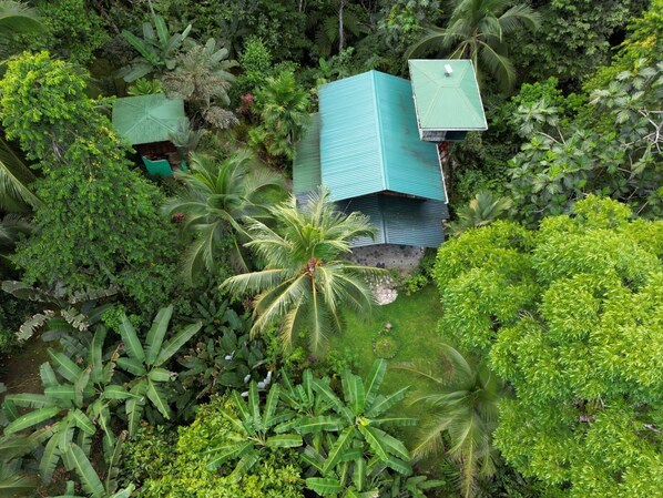 Um pequeno edifício térreo com telhado verde, rodeado por vegetação tropical densa.