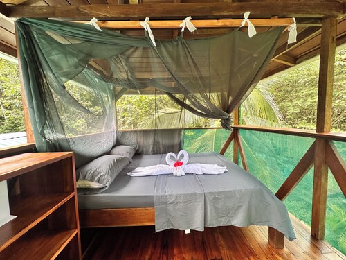 An immersive experience in the Osa rainforest