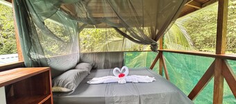 An immersive experience in the Osa rainforest