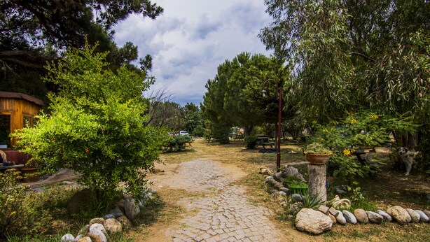 A cobblestone path leading through a garden with various plants and a wooden structure on the left. - Agora Sanat Köyü (Ezine)