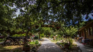 A cobblestone path leading to a rustic wooden archway with hanging flower baskets. - Agora Sanat Köyü (Ezine)