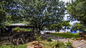 A rustic outdoor setting with a wooden cart, a large tree, and a small garden area with potted plants and a pathway. - Agora Sanat Köyü (Ezine)