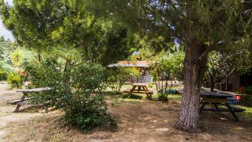 A picnic area with wooden benches and picnic tables surrounded by trees and greenery.