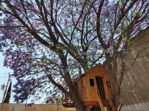 Hermosa casa con jardin y alberca