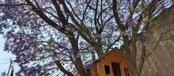 Hermosa casa con jardin y alberca