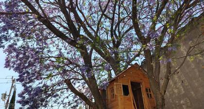 Hermosa casa con jardin y alberca