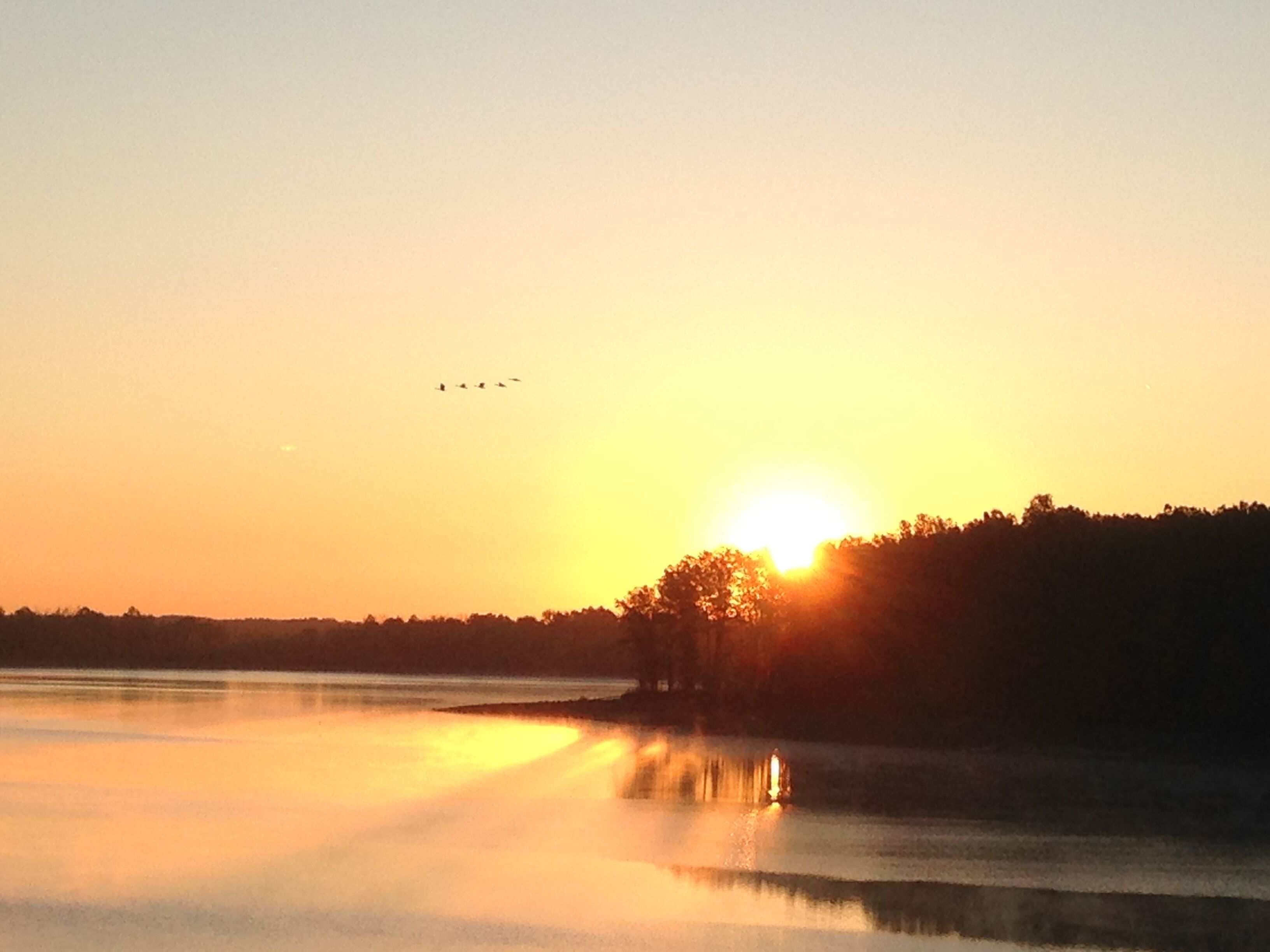 A sunset over a calm lake with a silhouette of trees and a distant bird flight.
