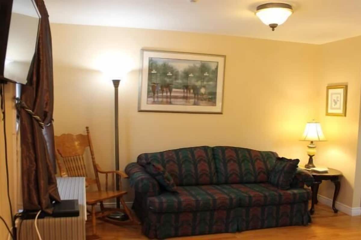 Deluxe Apartment | WiFi (free), individually decorated, individually furnished