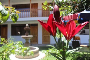 Desayuno continental gratuito y diario