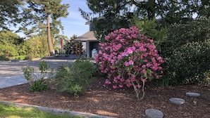 A covered patio with outdoor seating, surrounded by a garden with blooming pink flowers and a view of a house. - The Alpaca Retreat - Luxury farm house with water view! (Camano Island)