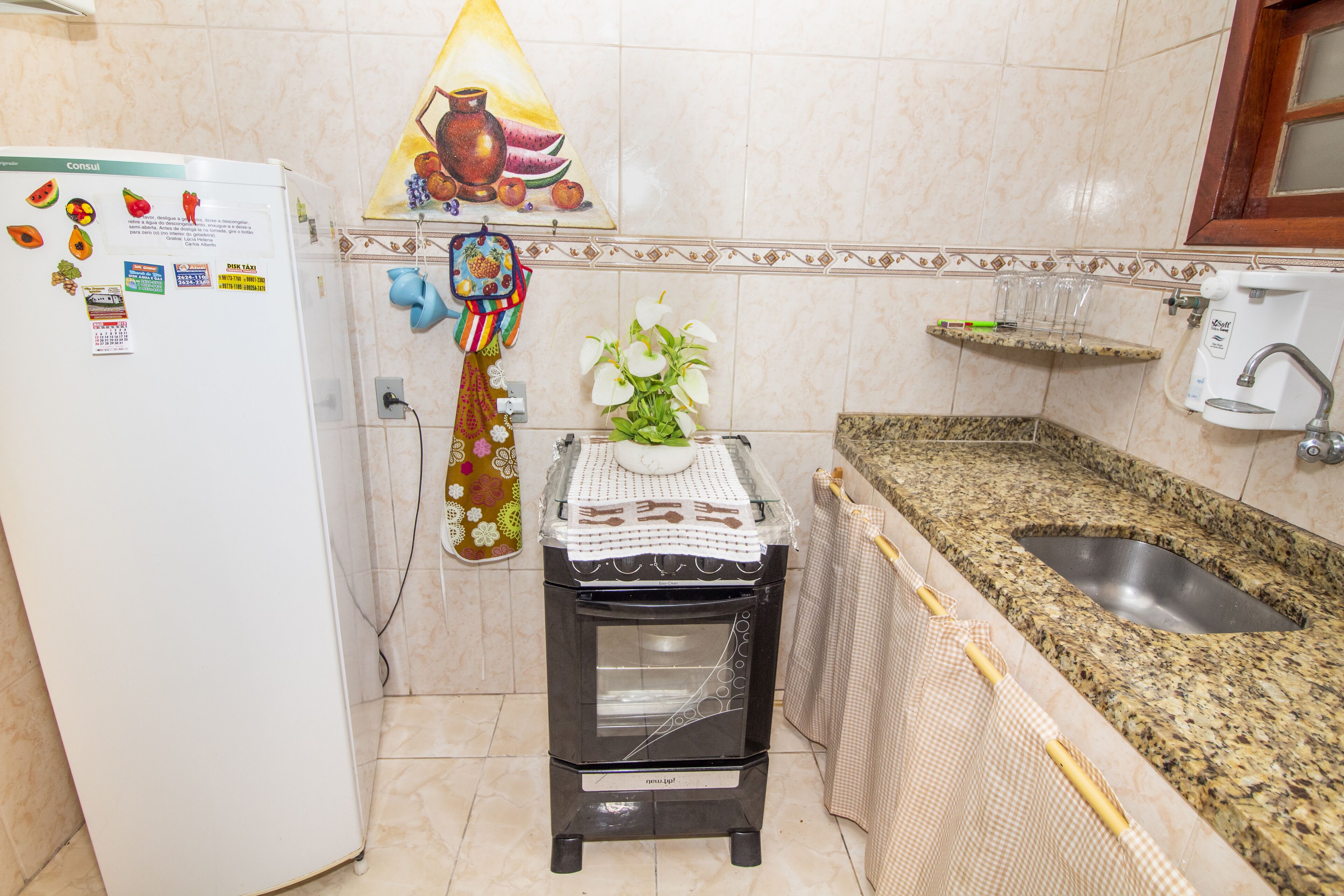 Eine kompakte Küche mit Kühlschrank, kleinem Backofen, Spüle und einer dekorativen Wandverziierung.