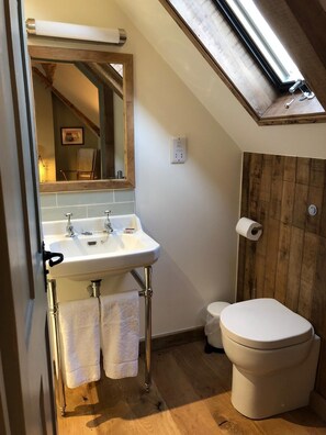 A compact bathroom with a skylight, a sink with a mirror, and a toilet. - Black Horse (Arundel)