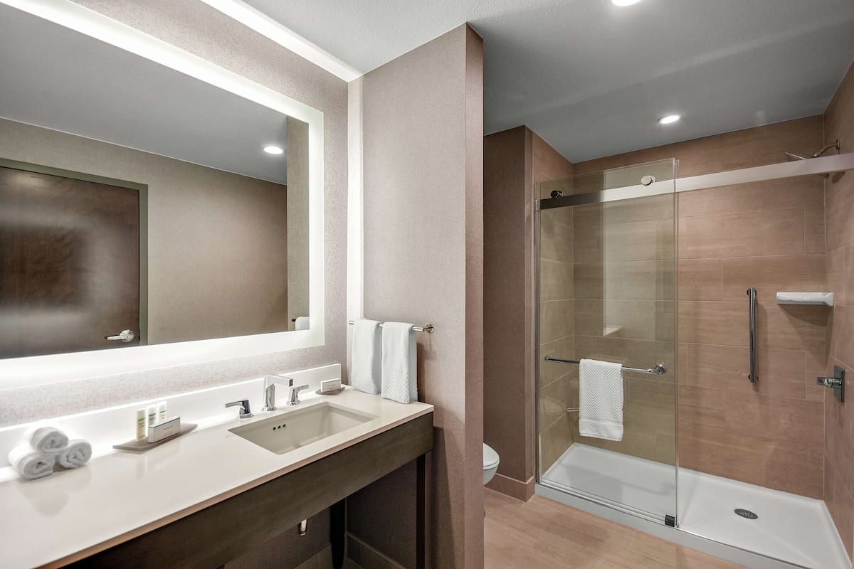 free toiletries, hair dryer, towels, soap