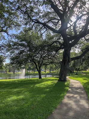 Property grounds - Families & Friends Stay Together, a Sun-Filled Historic Apartment Near Downtown (St. Petersburg)