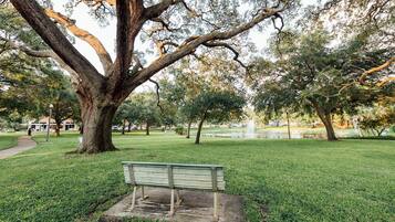 Terrein van de accommodatie