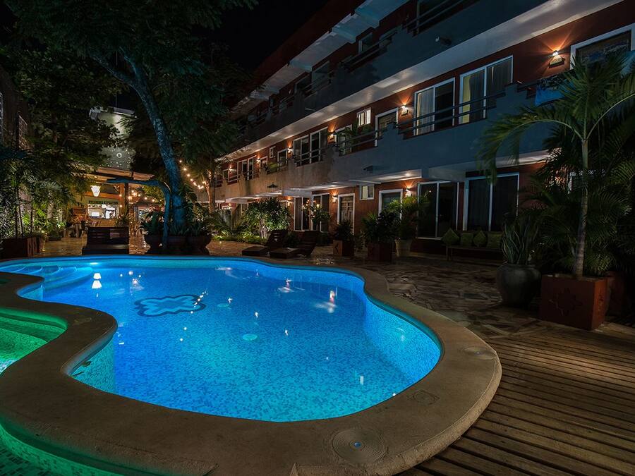 Piscina com formato singular, rodeada por um deck de madeira e plantas em vasos.