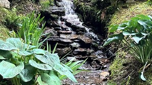 A small waterfall cascading over rocks in a garden with lush greenery and a wooden fence in the foreground.