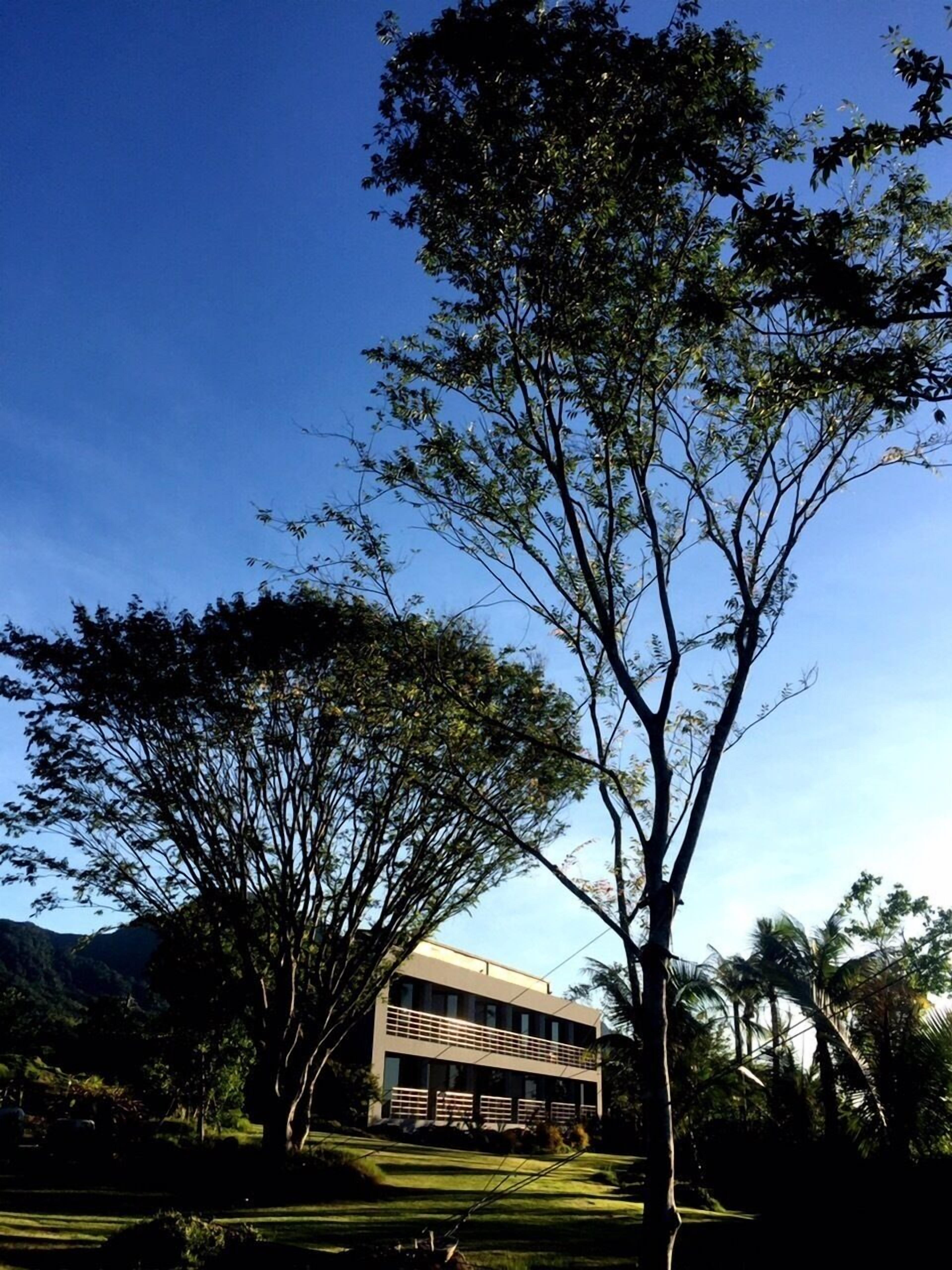 Diseño del edificio