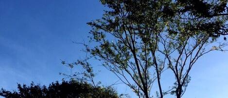 Diseño del edificio