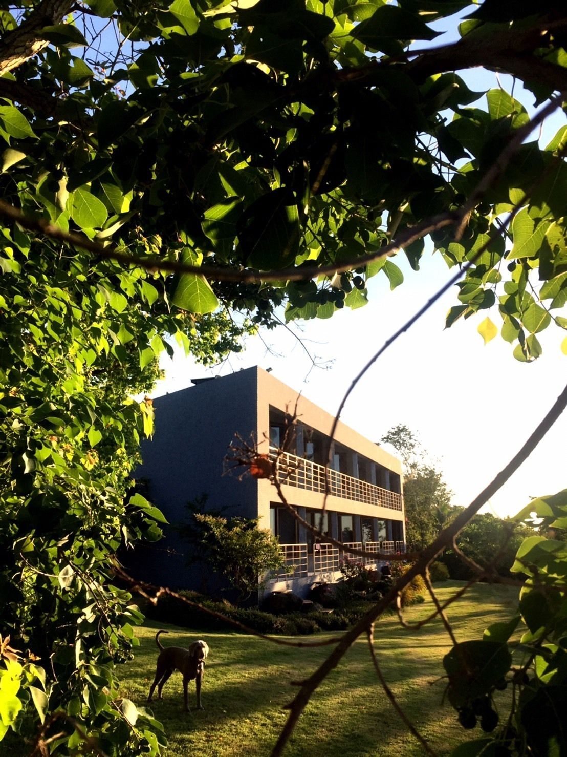 Exterior