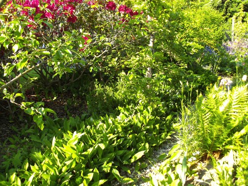 Landhaus Almyssen, Saksa