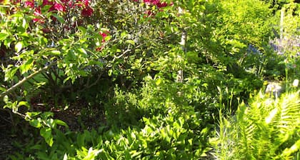 Landhaus Almyssen, Allemagne