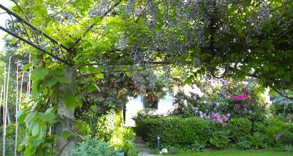 Landhaus Almyssen, Saksa