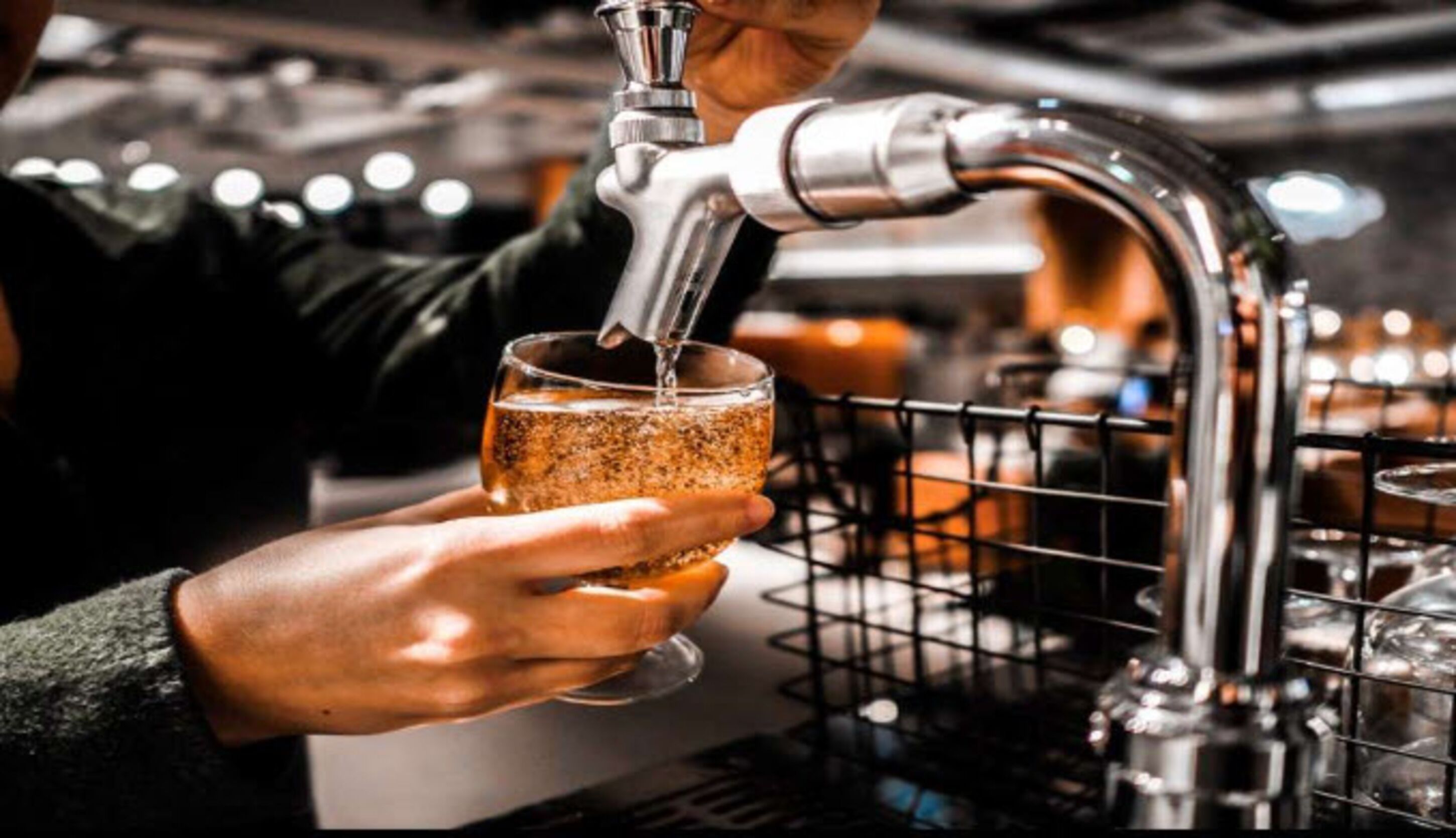 Foto - The Millennials Fukuoka