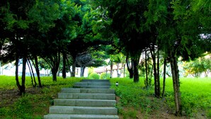 Degraus de pedra que levam a uma encosta, cercados por árvores e vegetação.
