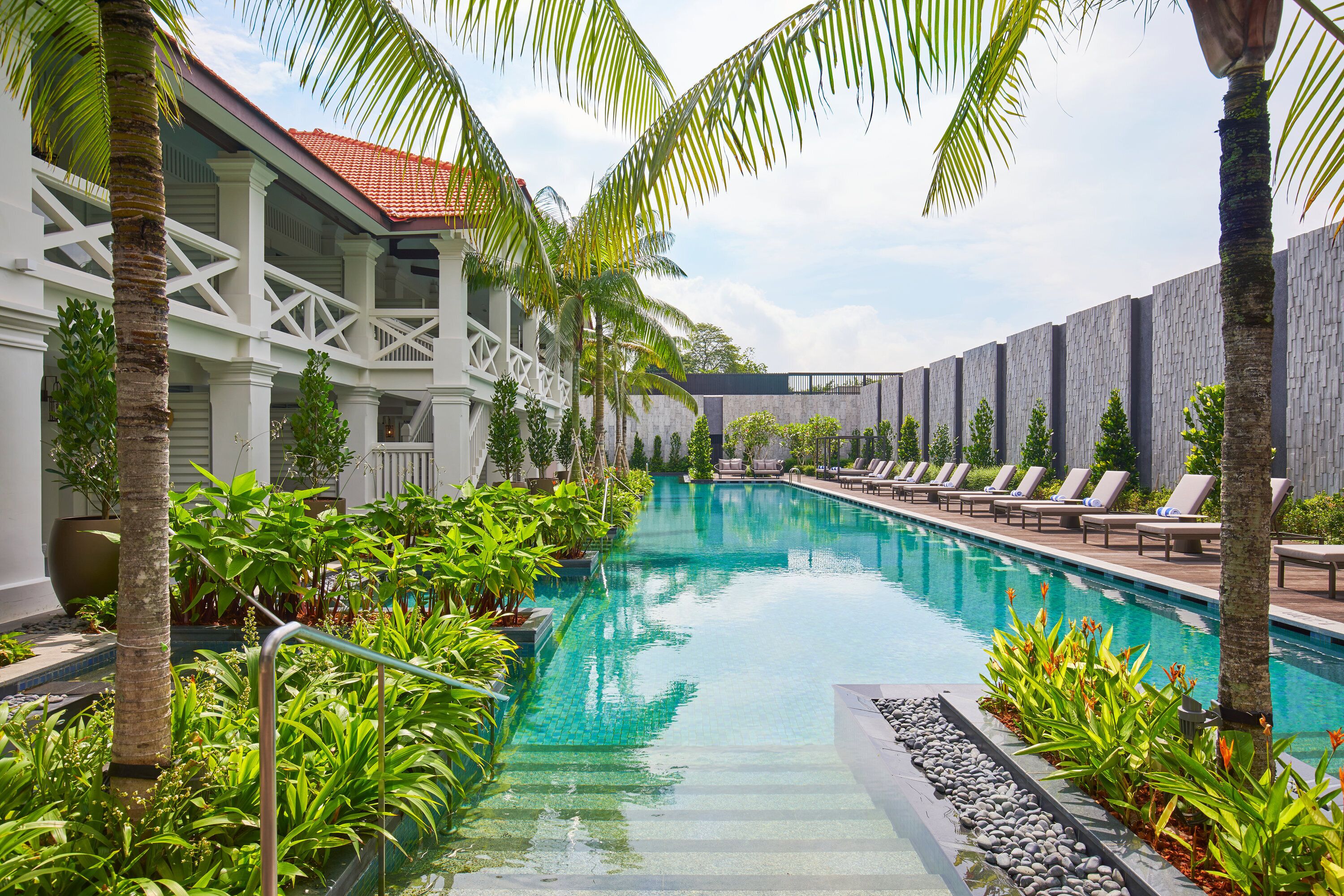 A pool area with lounge chairs and palm trees.