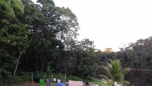 A campsite with several blue tents, a small palm tree, and a river in the background. - Jungle Reps (Iquitos)