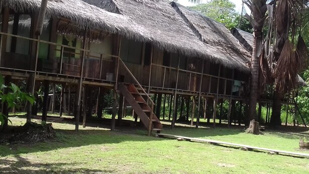 A rustic wooden house with a thatched roof, a wooden staircase, and a surrounding natural landscape. - Jungle Reps (Iquitos)