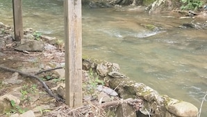 Une structure en bois offrant une vue sur une rivière et la végétation environnante.