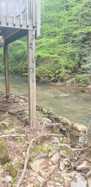 Property grounds - Waterfront Walden's Creek•Hot Tub•Deck Firepit•10 min from Pigeon Forge  (Sevierville)