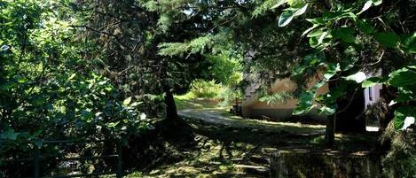 Overnattingsstedets uteområder