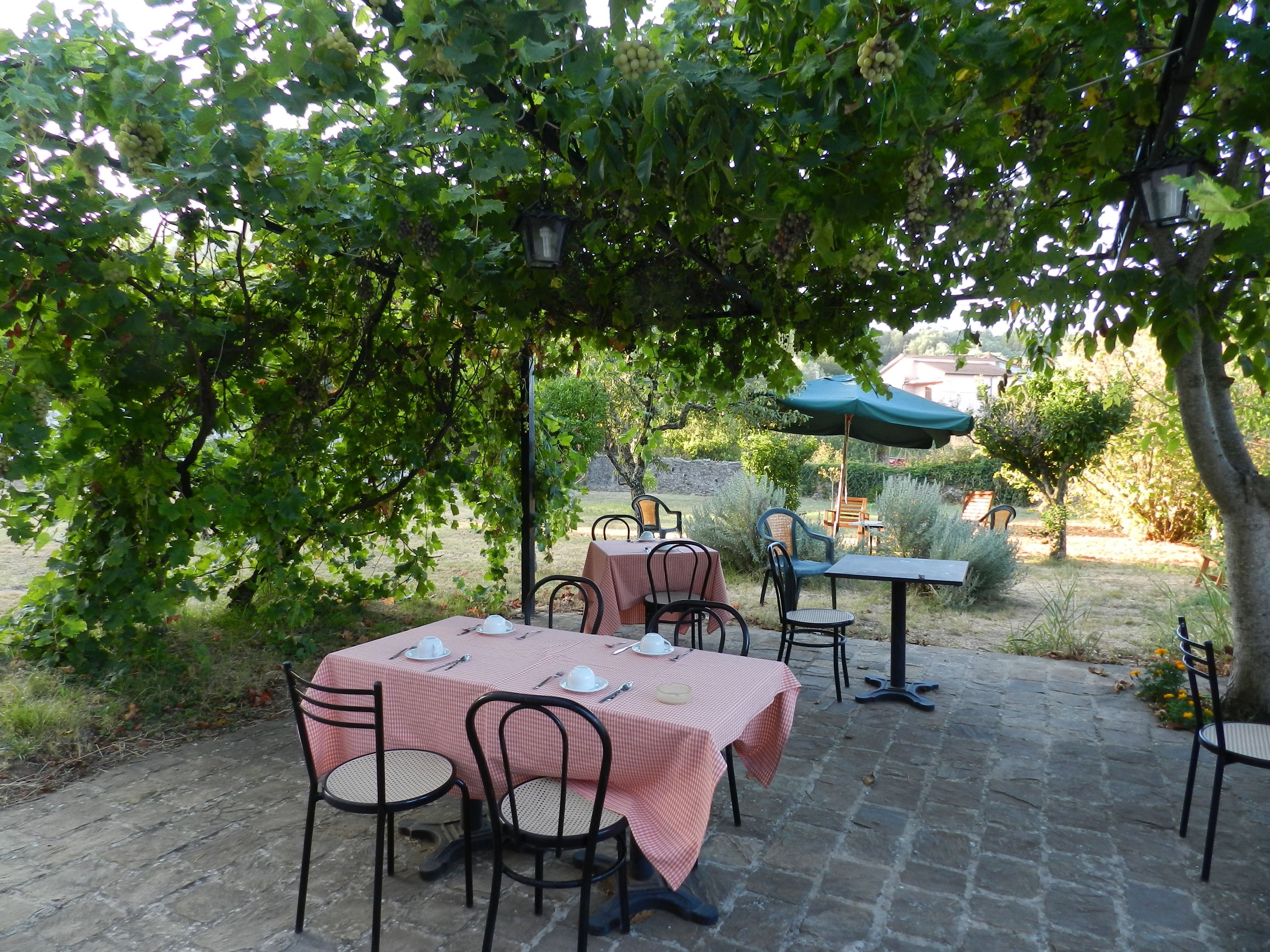 An outdoor patio with tables and chairs, covered by a green umbrella, surrounded by lush greenery and a stone pathway.