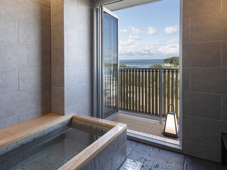 Hair dryer, slippers, electronic bidet, towels