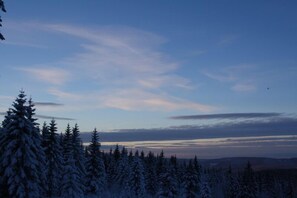 A snowy forest landscape with a clear sky.