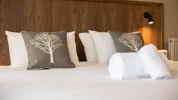 Bureau, rideaux occultants, fer et planche Ă repasser, Wi-Fi gratuit