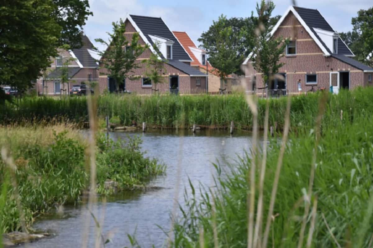A row of houses with sloped roofs and brick exteriors, situated next to a calm water body with tall grasses in the foreground.