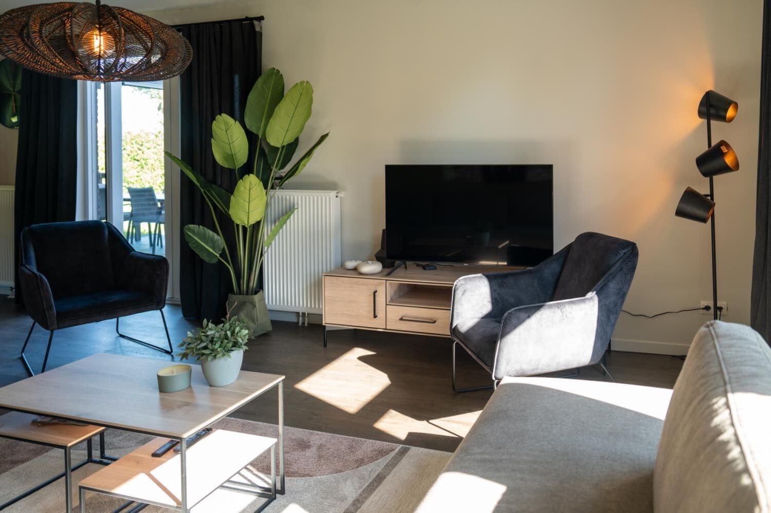 A modern living room with a sofa, two chairs, a TV, a coffee table, a plant, and a floor lamp.