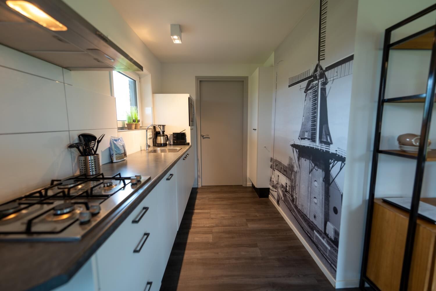 Una cocina moderna con estufa a gas, un lavamanos y una ventana con plantas.