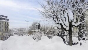 Uklassifisert bilde, 4 av 23, knapp