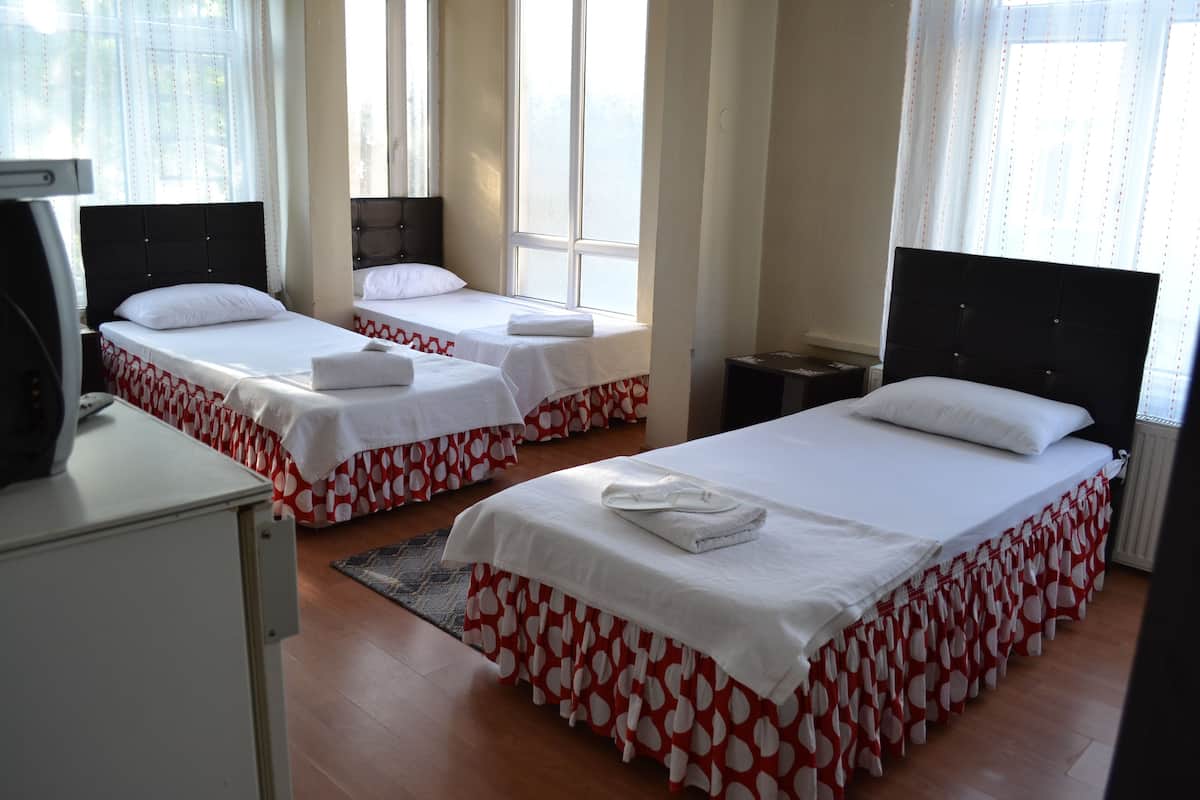 Habitación triple estándar | 1 dormitorio, escritorio, sistema de insonorización y wifi gratis