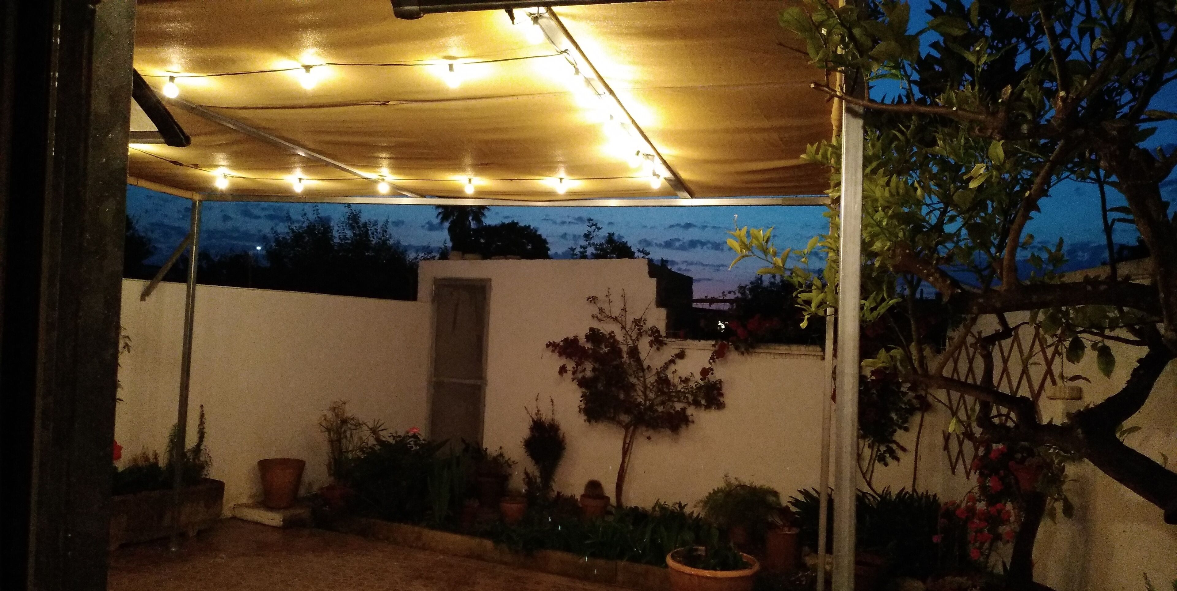 An outdoor patio area with string lights, potted plants, and a white wall.